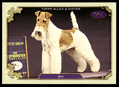 2024 topps allen ginter - 2024,