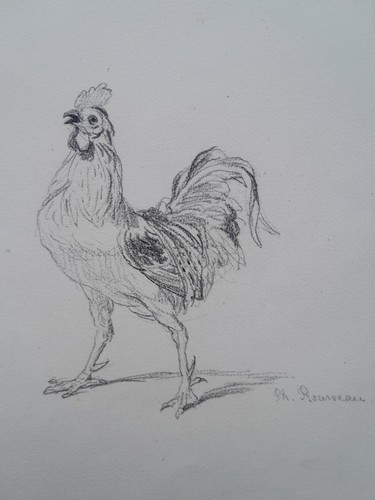 Dessin ancien 19ème coq