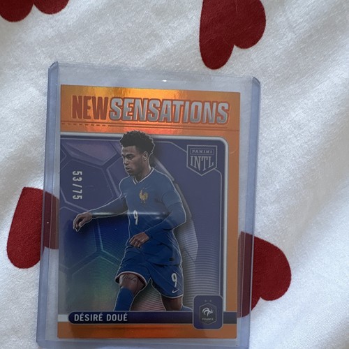 Panini france international - france,