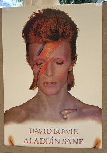 David bowie aladdin - aladdin, sane