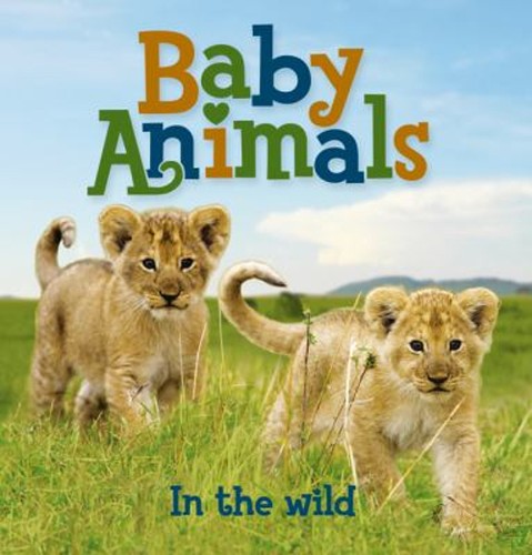 Livres carton animaux - en, d'animaux
