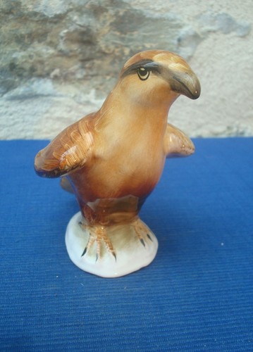V67 très bel oiseau terre - très,