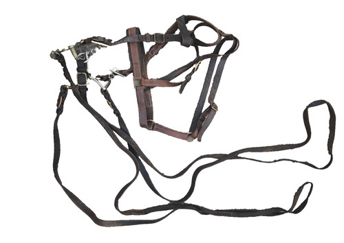 Bride complète militaire - bride,