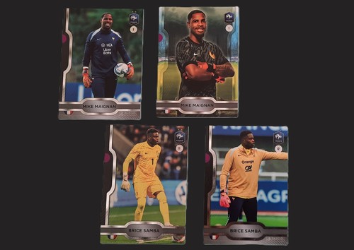 Fff bleu collectif cartes - fff,