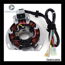 Stator Allumage pour KTM 125 EXC / SIX DAYS de 2005 2006 2007 2008 2009 à 2016