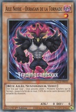 Yu-Gi-Oh! Aile Noire - Ouragan
