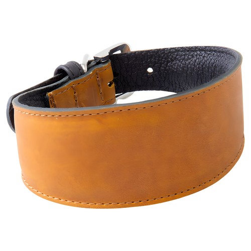 Collier cuir pour lévriers - cuir,