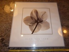 CADRE EN METAL IKEA RESLIG 50 X 50 CM BON ETAT