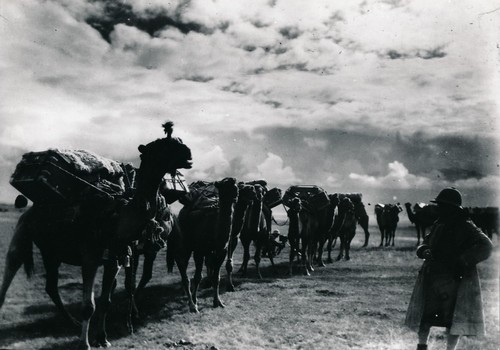Turkertan chinois 1935 - turkertan,