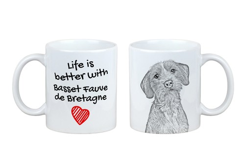 Basset fauve bretagne le - fauve,