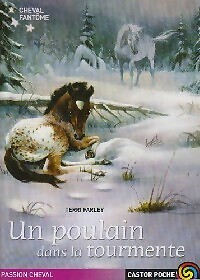 Cheval fantôme tome un - fantôme, v