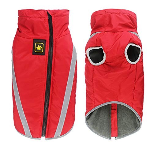 Manteau chien imperméable - manteau,