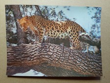 Carte postale lenticulaire 3D