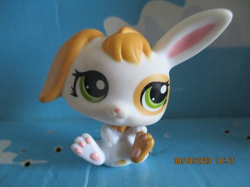 Petshop lapin belier - petshop,