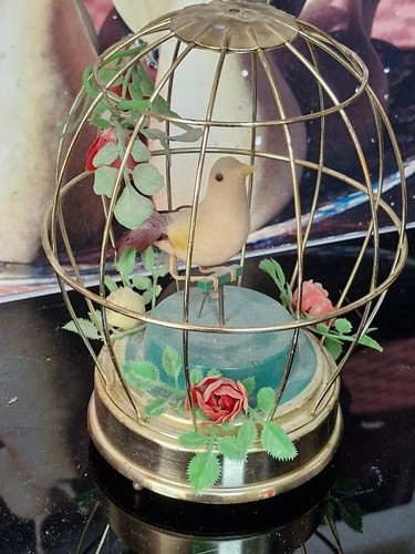 Cage oiseau yellow bird - à,