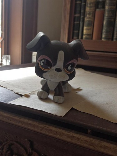 Figurine petshop chien noir - petshop,