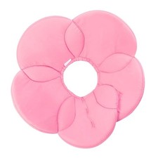 Collerette Colier Chien