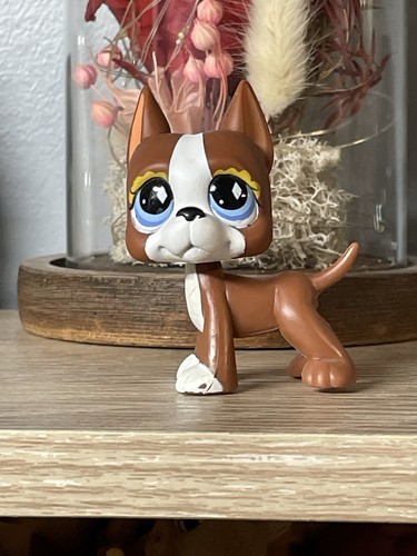 Petshop chien danois dogue - chien,
