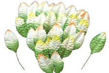 40 feuilles végétales papier