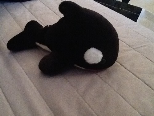 Peluche orque - peluche,