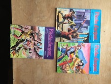 PETIT FORMAT BD FLECHE D