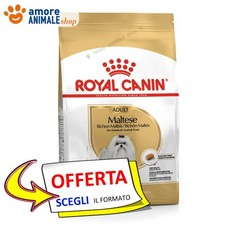 Royal Canin Chien → Adulte