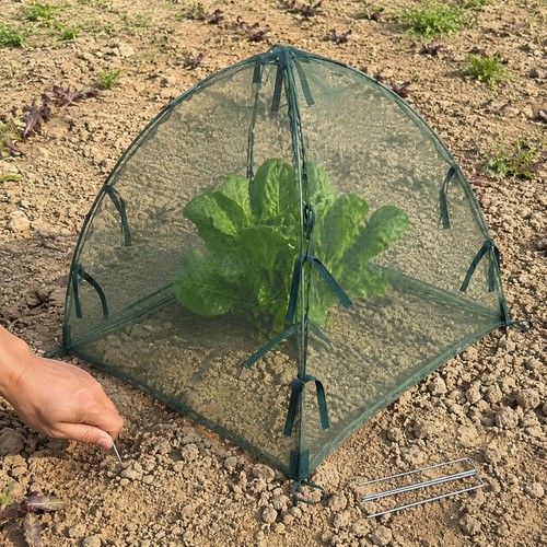 Cloche jardin réutilisable - cloche,