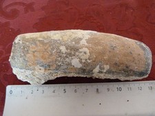 Côte fossilisée de