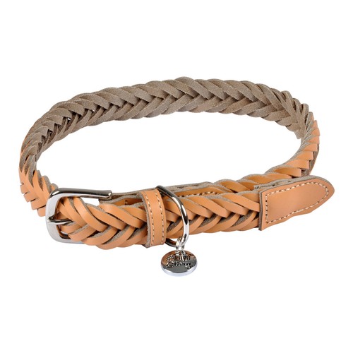Collier pour chien réglable - collier,