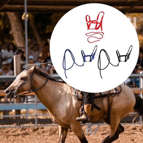 Licol pour cheval - avec, rênes