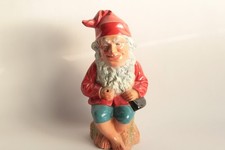 Nain de Jardin Gnome terre