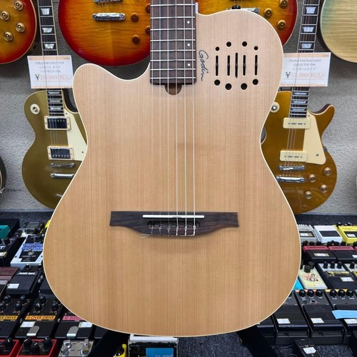Guitare gaucher godin - guitare,