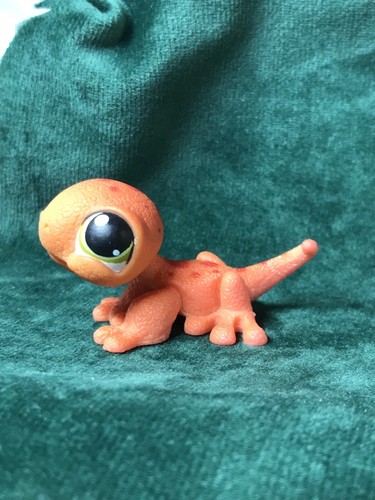 Petshop lézard 326 - 🌺petshop, 326🌺