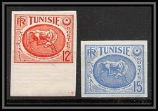 92519 Tunisie (tunisia)