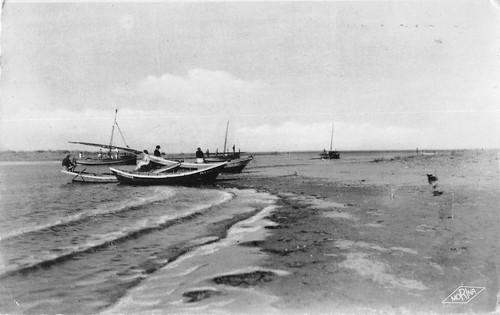 Cpa les cabanes - les,