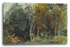 Toile/Cadres Paysage