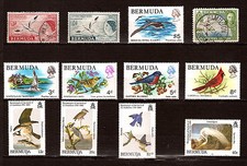 BERMUDA Les oiseaux: Petrel,cardinal,sternes,et tableau de Audubon 52M-141D