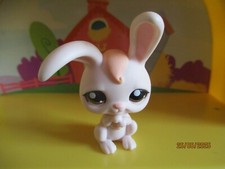 Petshop Lapin de Garenne #1653