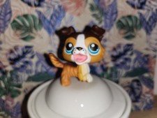 littlest petshop,colley  Dog