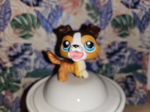 Littlest petshop colley dog - littlest,