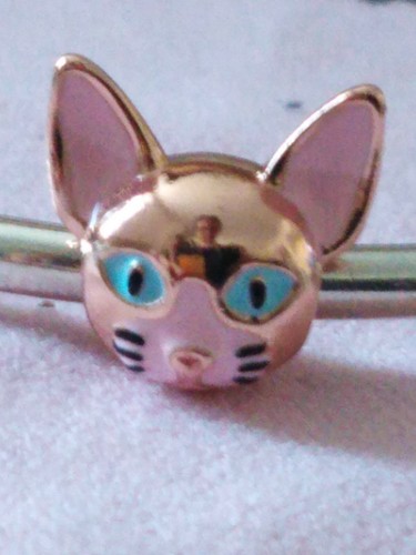 Charm tête chat - tête,