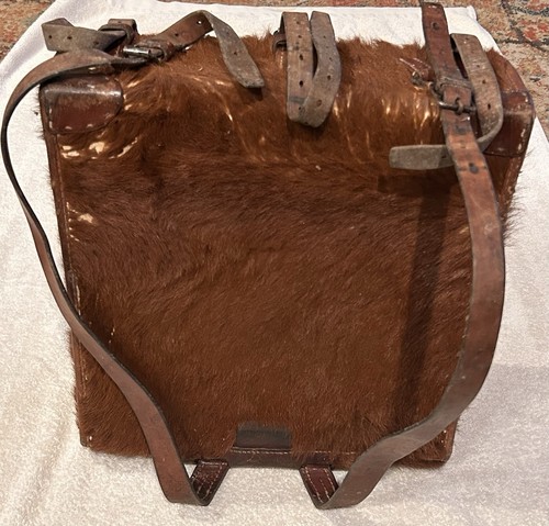 Vintage wwii swiss army horse - vintage,