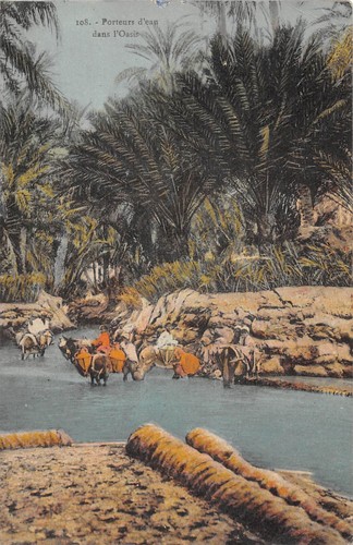 Cpa algerie porteurs d eau - algerie, /