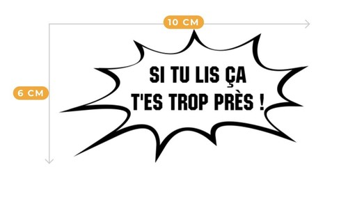 Autocollant voiture humour - autocollant,