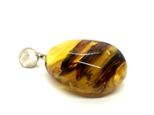 Pendentif Ambre Insecte