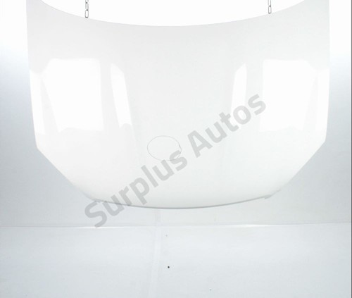Capot f5100jd0mb nissan - f5100jd0mb,