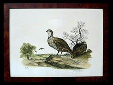 * Jérôme TROLLIET -