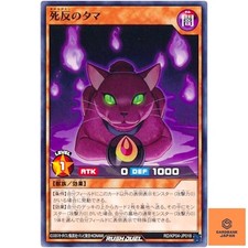 Tama the Mancer Cat -