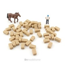 HO Lot 50 Ballots Bottes