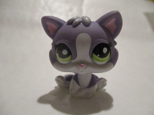 Petshop chaton chat n 2033 - petshop,